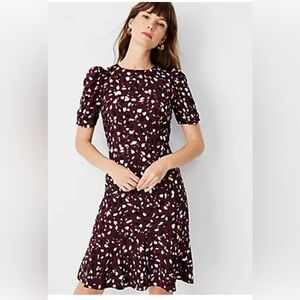 Ann Taylor Purple and White Dress